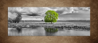 Zelený strom – panoráma – 170 x 60 cm