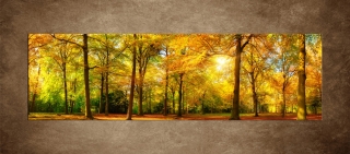 Jesenný dub – 170 x 50 cm