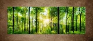 Listnaté stromy – 170 x 60 cm