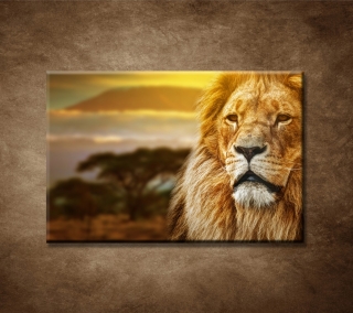 Lev na Savane