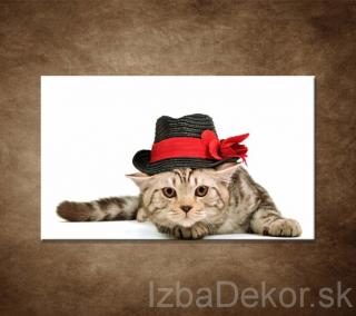 Mačiatko v čiernom klobúku