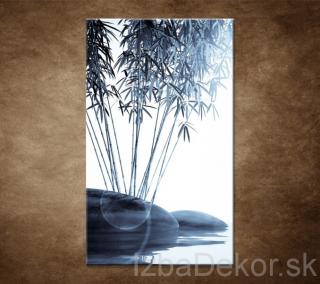 Bambus a kamene na vode
