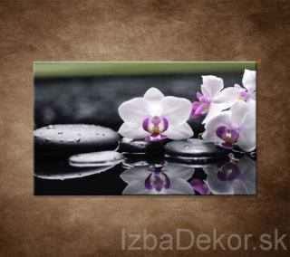 Ružová orchidea a kamene