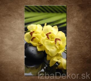 Žltá orchidea s kameňmi