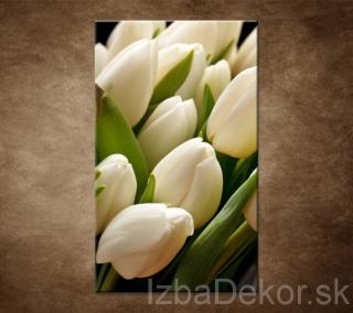 Kytica tulipánov - detail